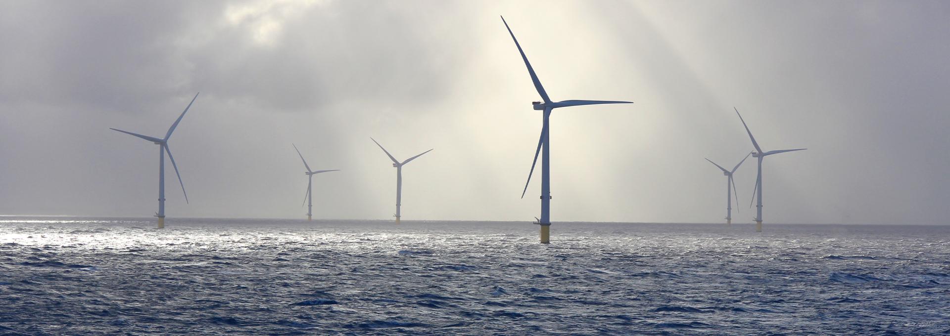 collection of wind turbines at sea